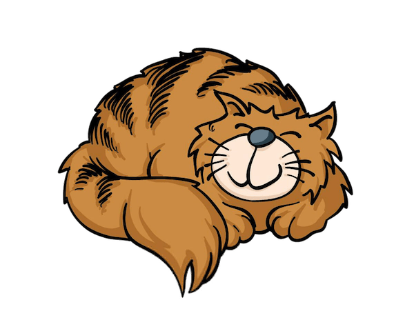 Murray The Cat